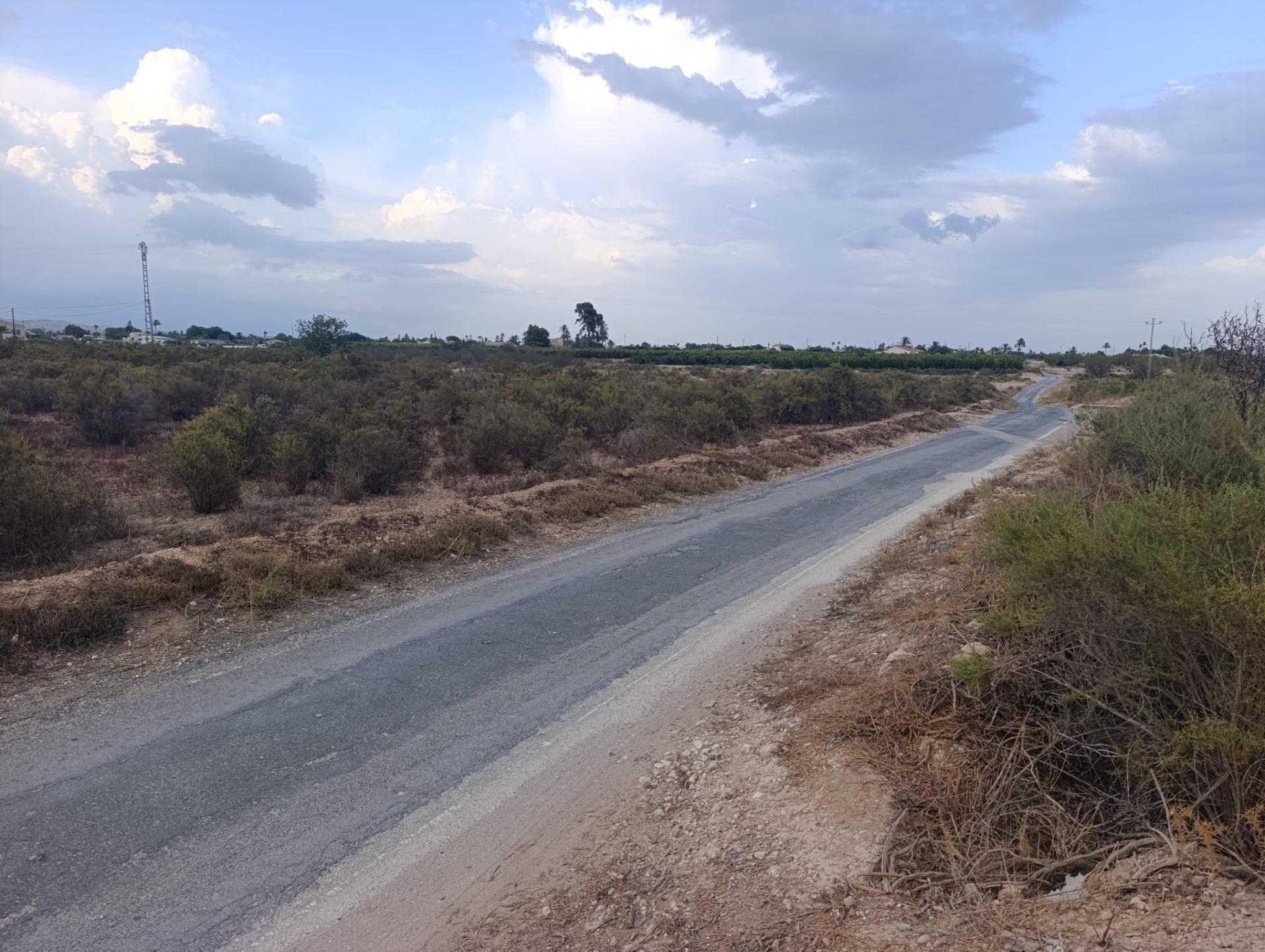 Fincas y solares-Alquiler-Elche-2420762-Foto-5