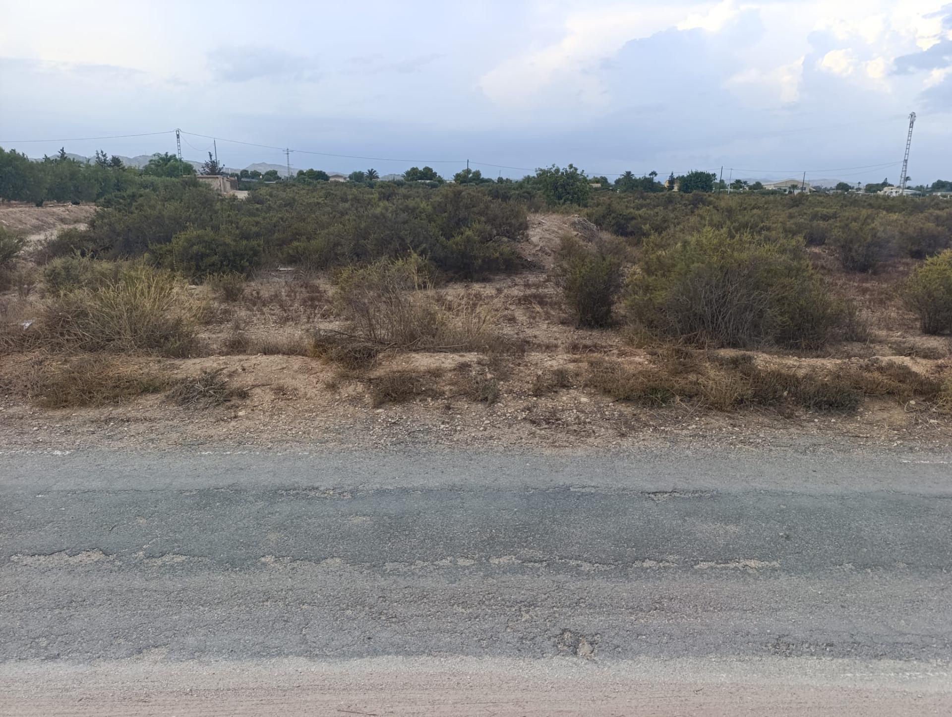 Fincas y solares-Alquiler-Elche-2420762-Foto-7