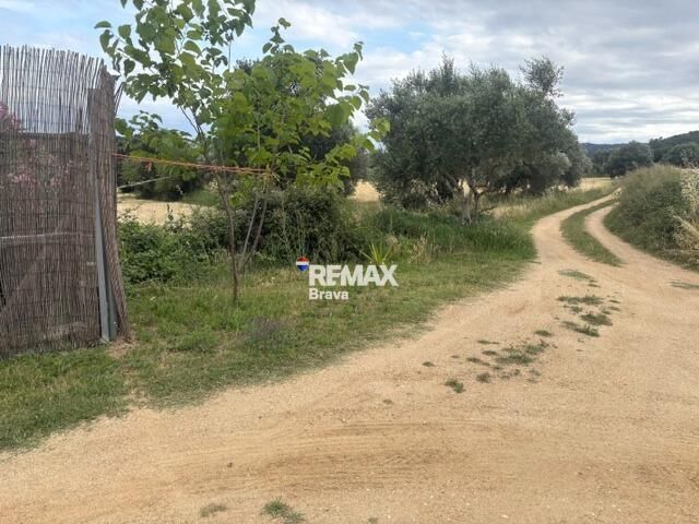 Fincas y solares-Venta-Calonge-2414027-Foto-2