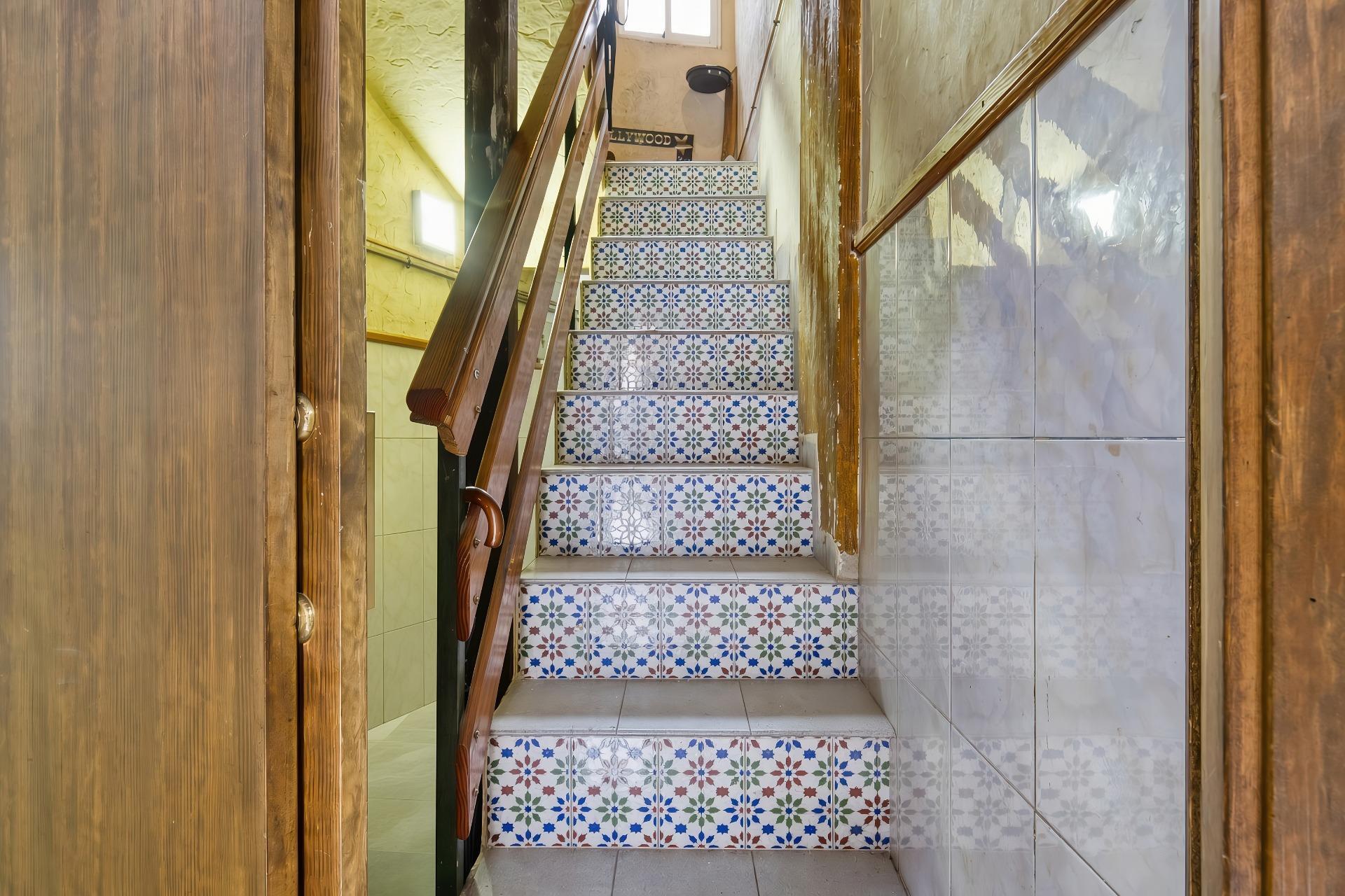 Negocios-Venta-Orihuela-2415287-Foto-24
