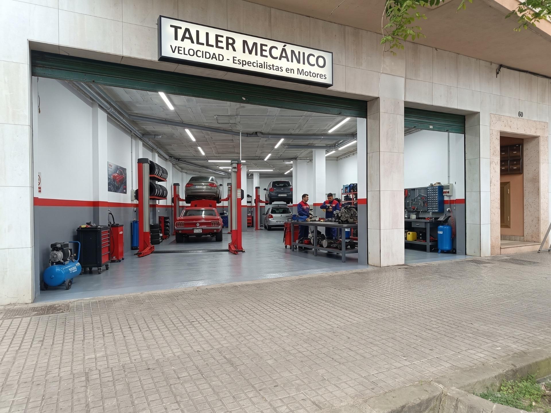 Negocios-Venta-Manacor-2238220-Foto-5