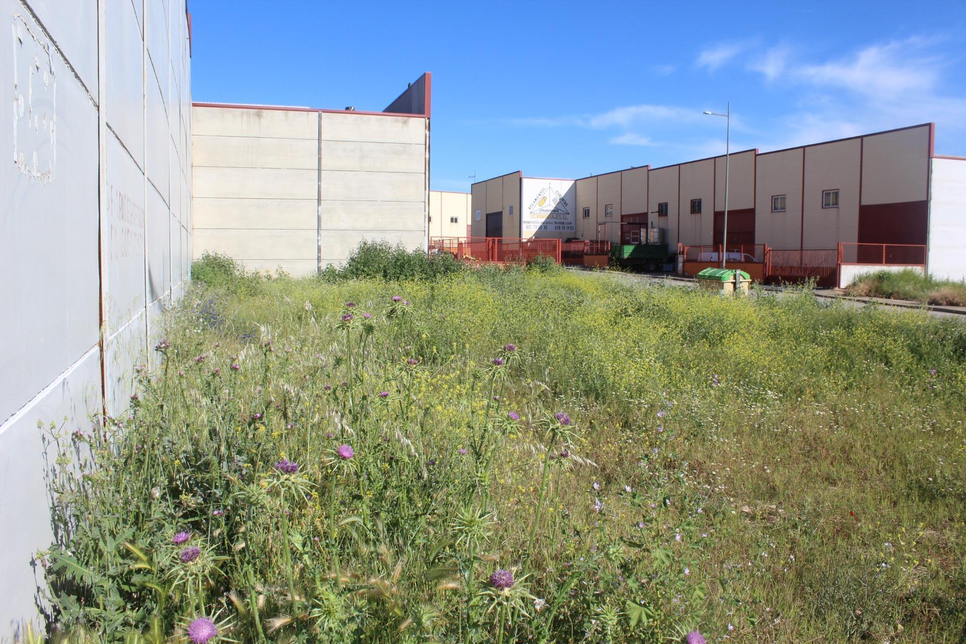 Fincas y solares-Venta-Escalonilla-1651071