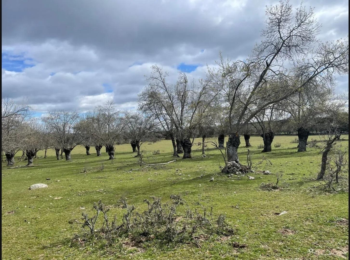 Fincas y solares-Venta-Galapagar-1399924