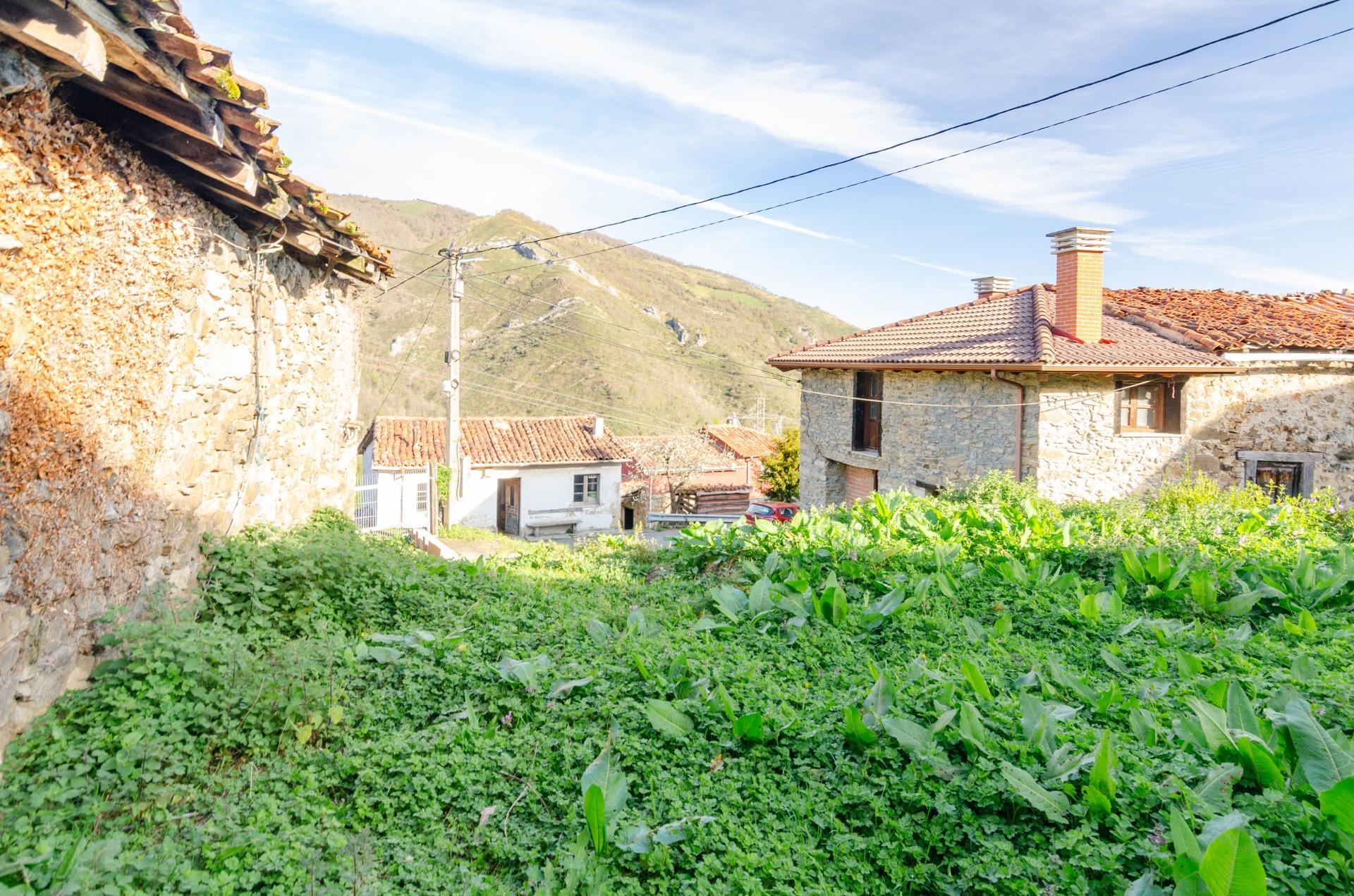 Casas o chalets-Venta-Villena-1712141-Foto-12