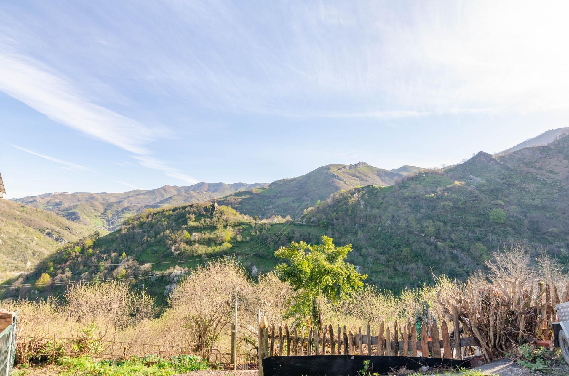 Casas o chalets-Venta-Villena-1712141-Foto-26