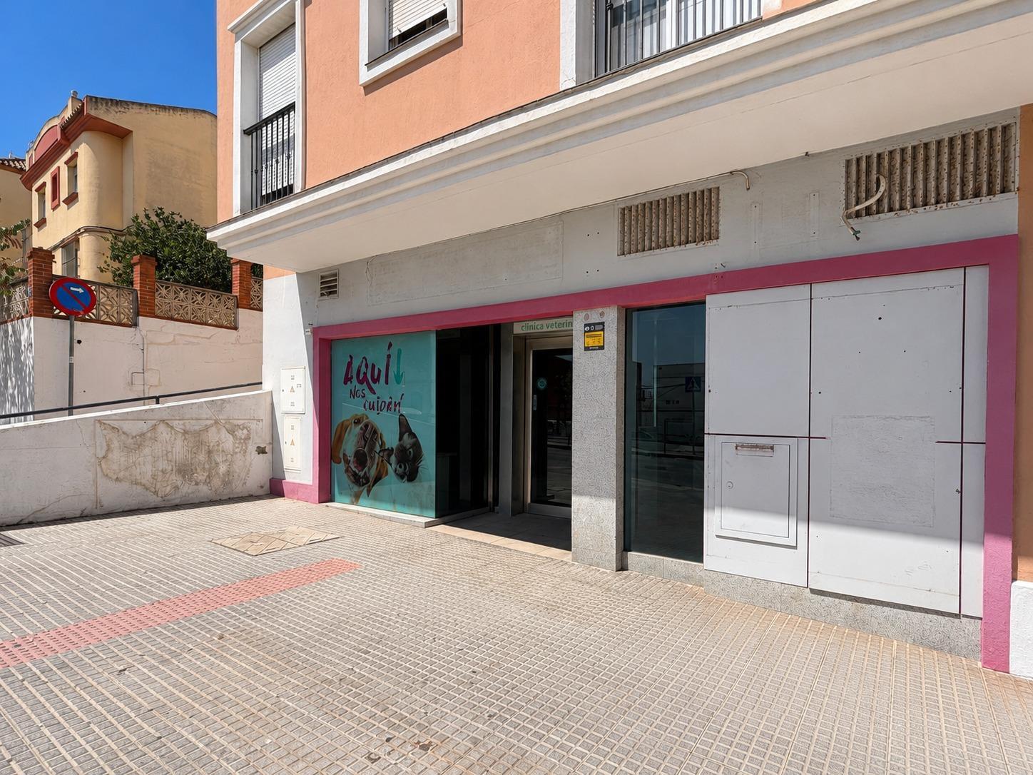 Negocios-Venta-Chiclana de la Frontera-2415299-Foto-9