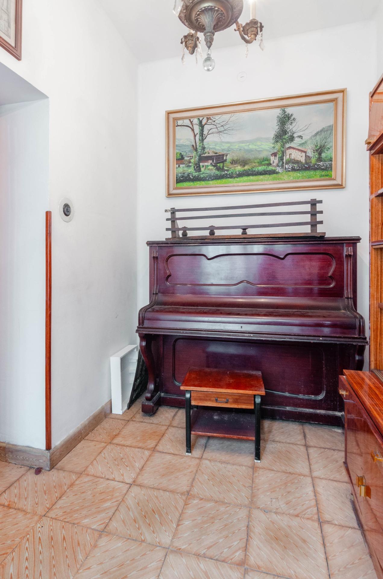 Pisos-Venta-Mieres-2411382-Foto-10