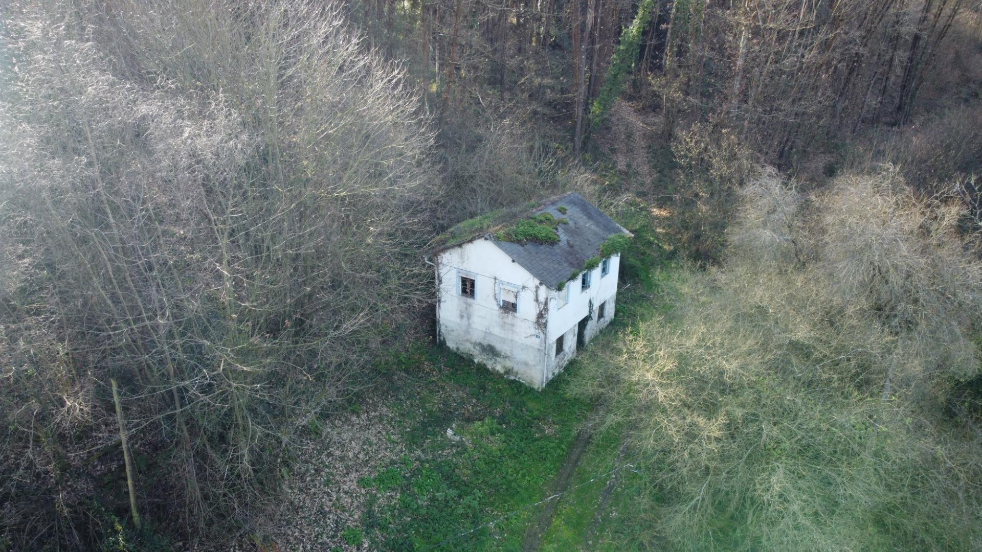Casas o chalets-Venta-Tineo-2115392-Foto-11