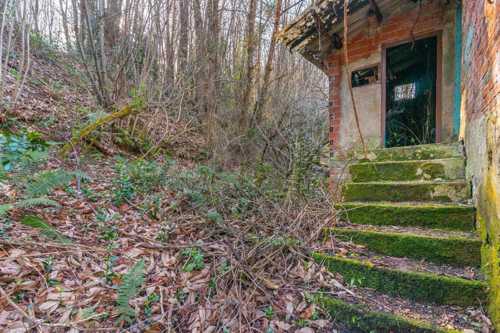 Casas o chalets-Venta-Tineo-2115392-Foto-22