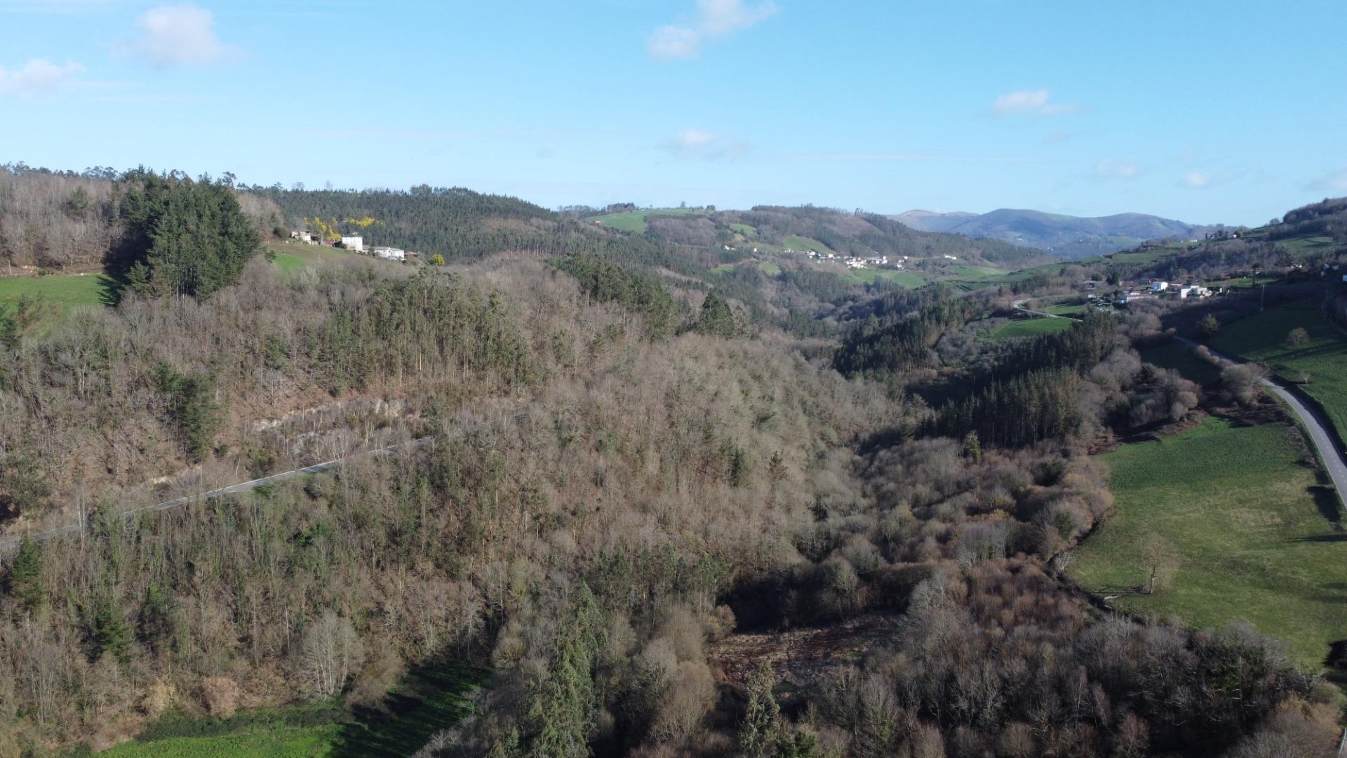 Casas o chalets-Venta-Tineo-2115392-Foto-28