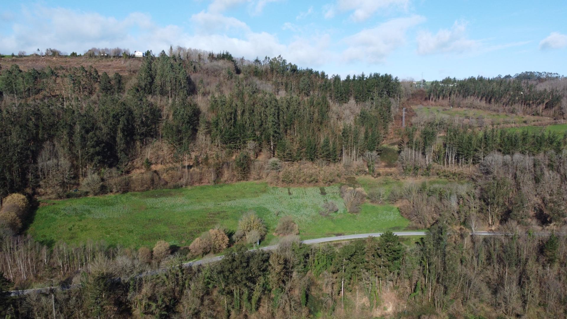 Casas o chalets-Venta-Tineo-2115392-Foto-29