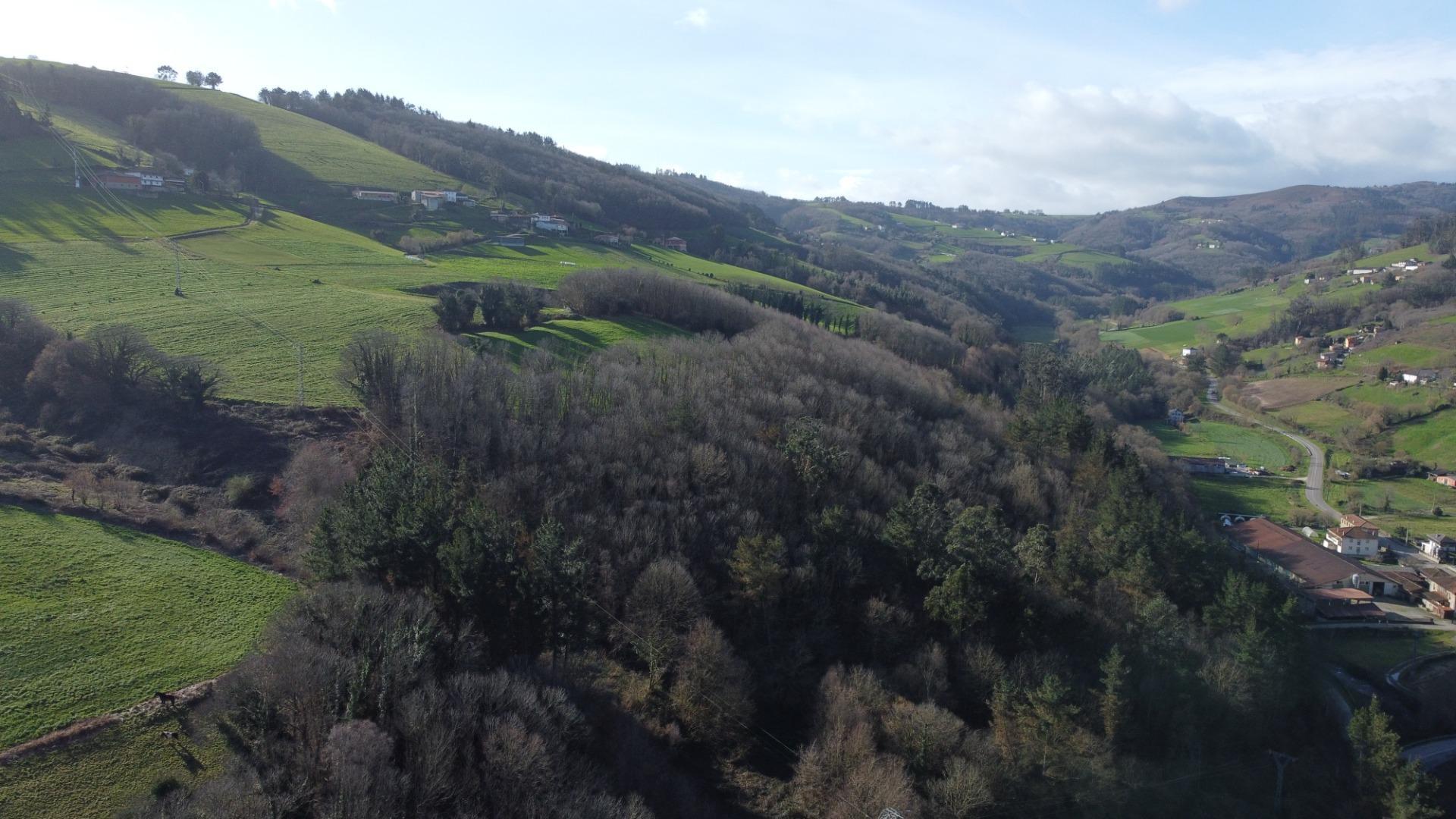 Casas o chalets-Venta-Tineo-2115392-Foto-35