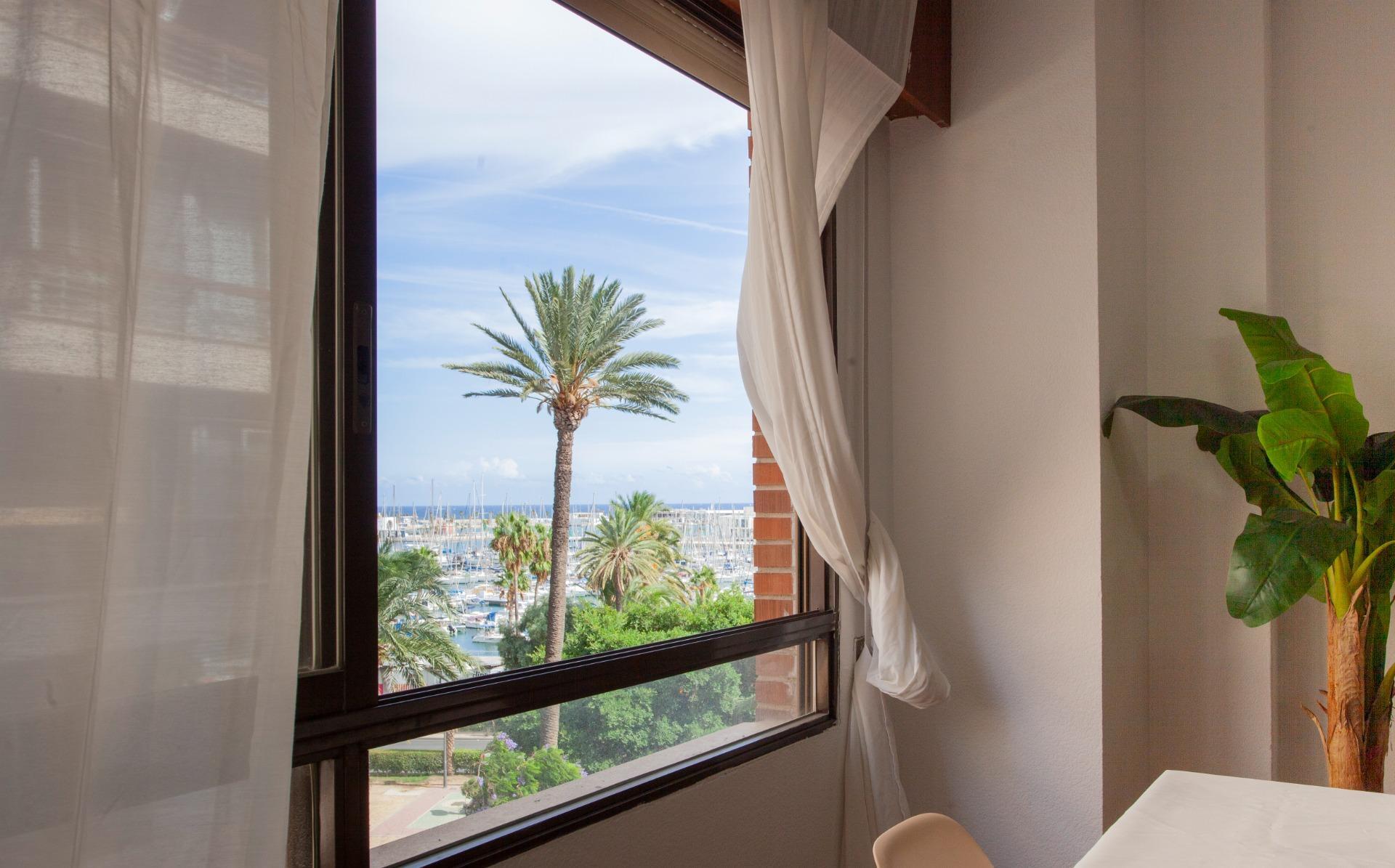 Pisos-Venta-Alicante-2411178-Foto-2