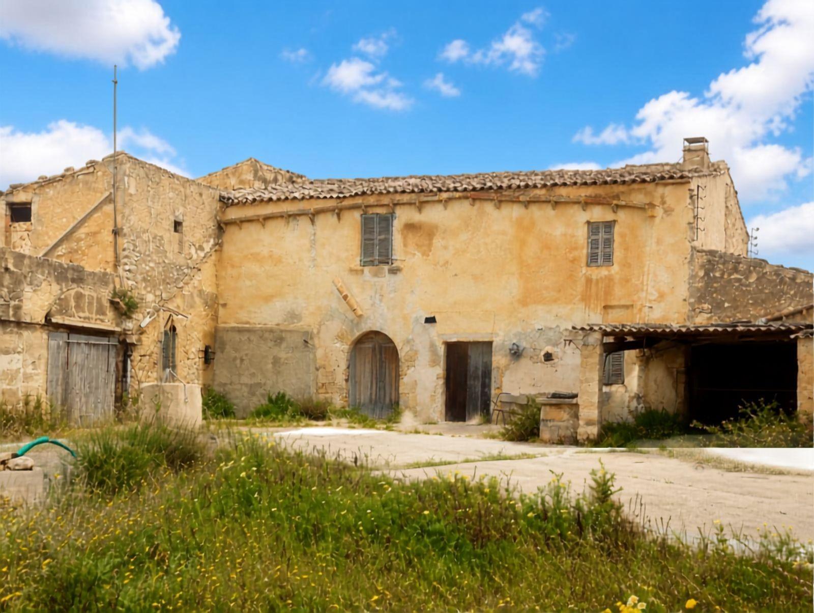 Pisos-Venta-Manacor-2417012-Foto-7