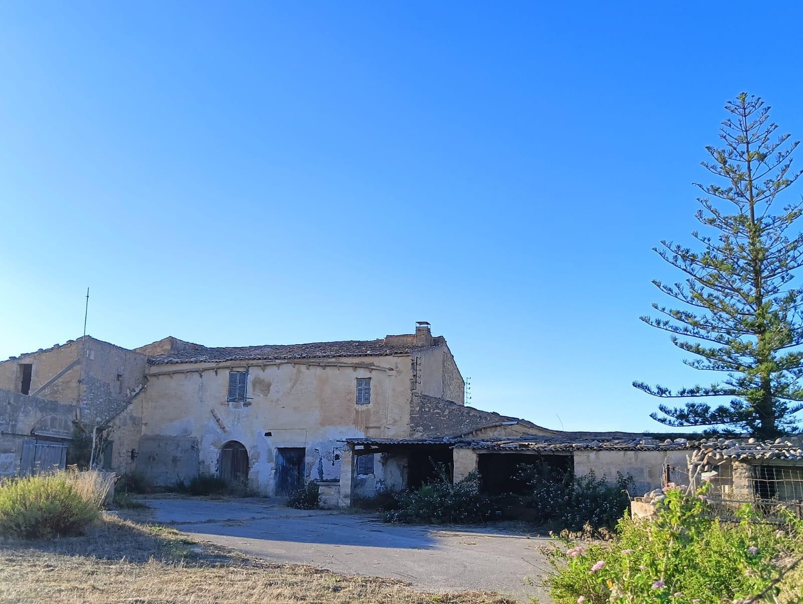 Pisos-Venta-Manacor-2417012-Foto-14
