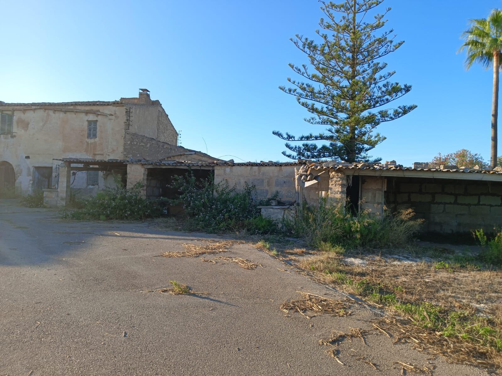 Pisos-Venta-Manacor-2417012-Foto-16