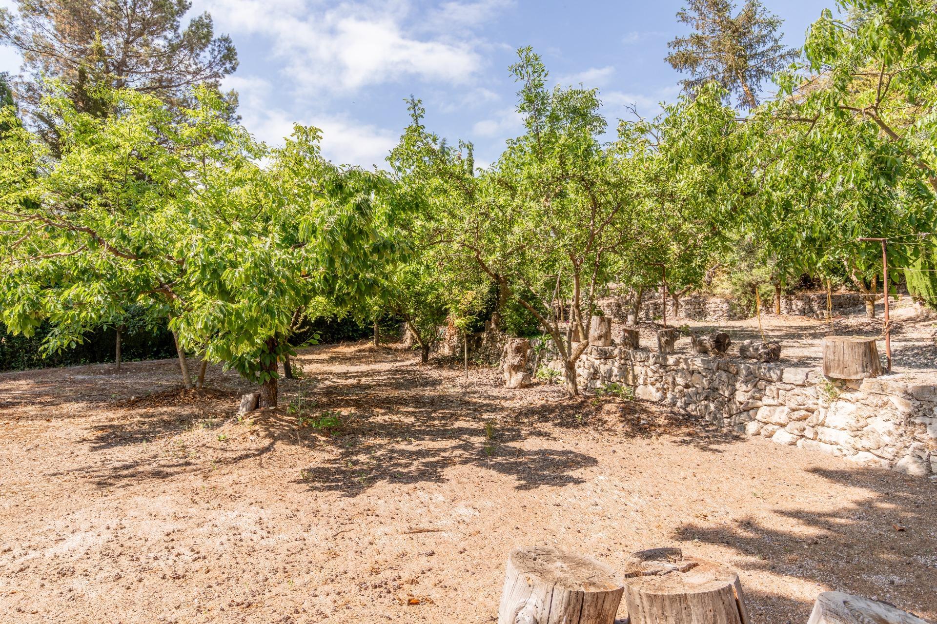 Casas o chalets-Venta-Alcoy-Alcoi-2415566-Foto-40