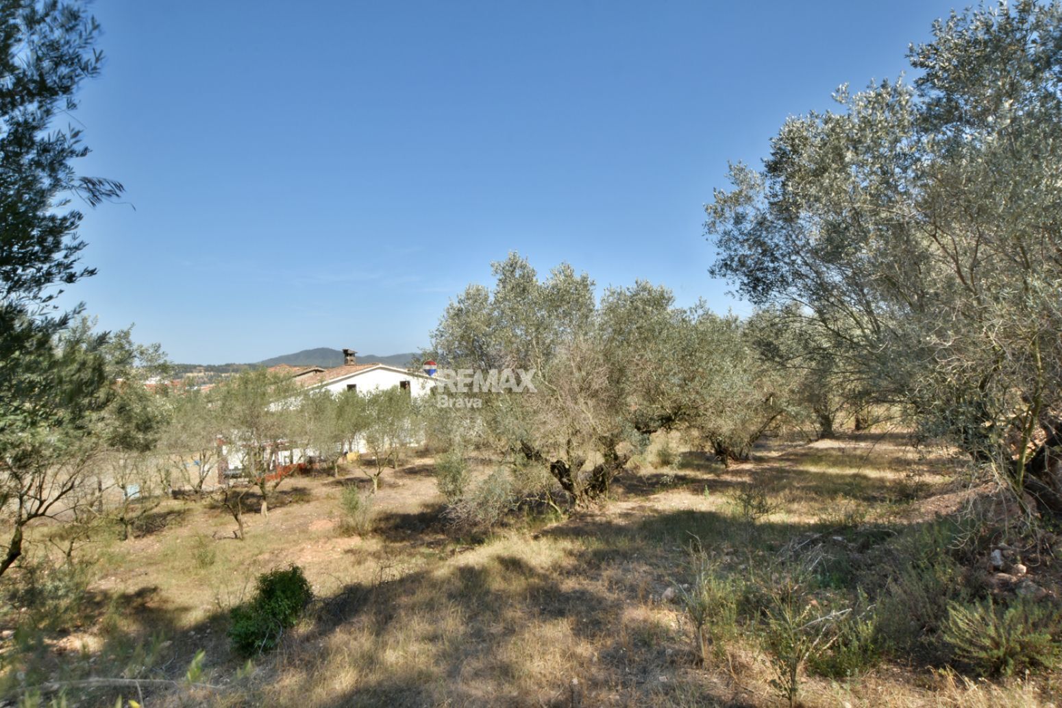 Pisos-Venta-Sant Andreu de la Barca-2413385-Foto-36