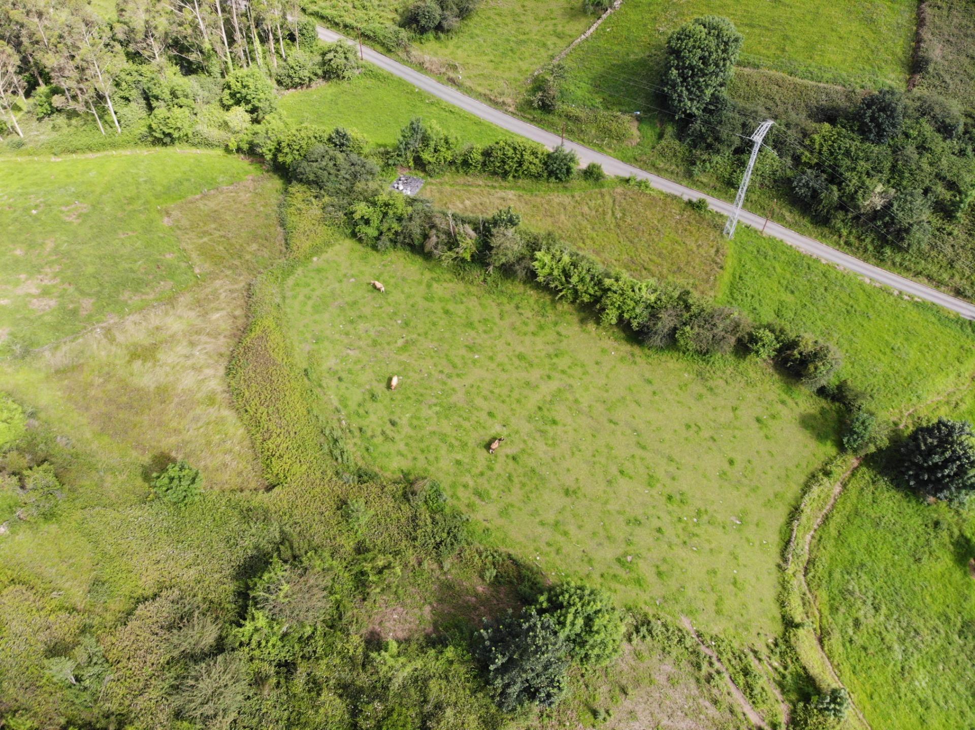 Fincas y solares-Venta-El Grado-2421383-Foto-17