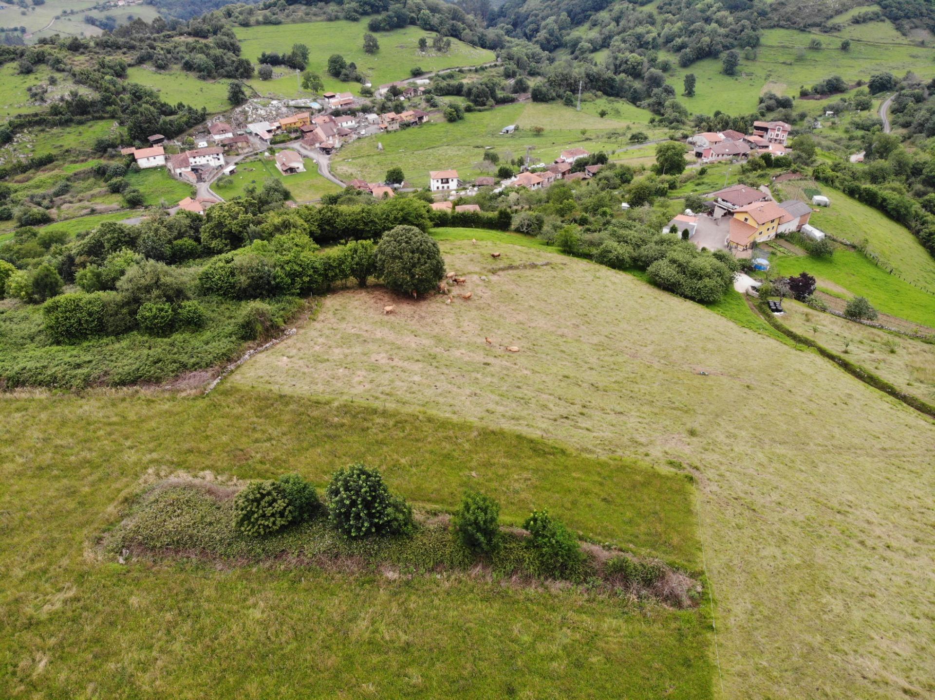 Fincas y solares-Venta-El Grado-2421383-Foto-39