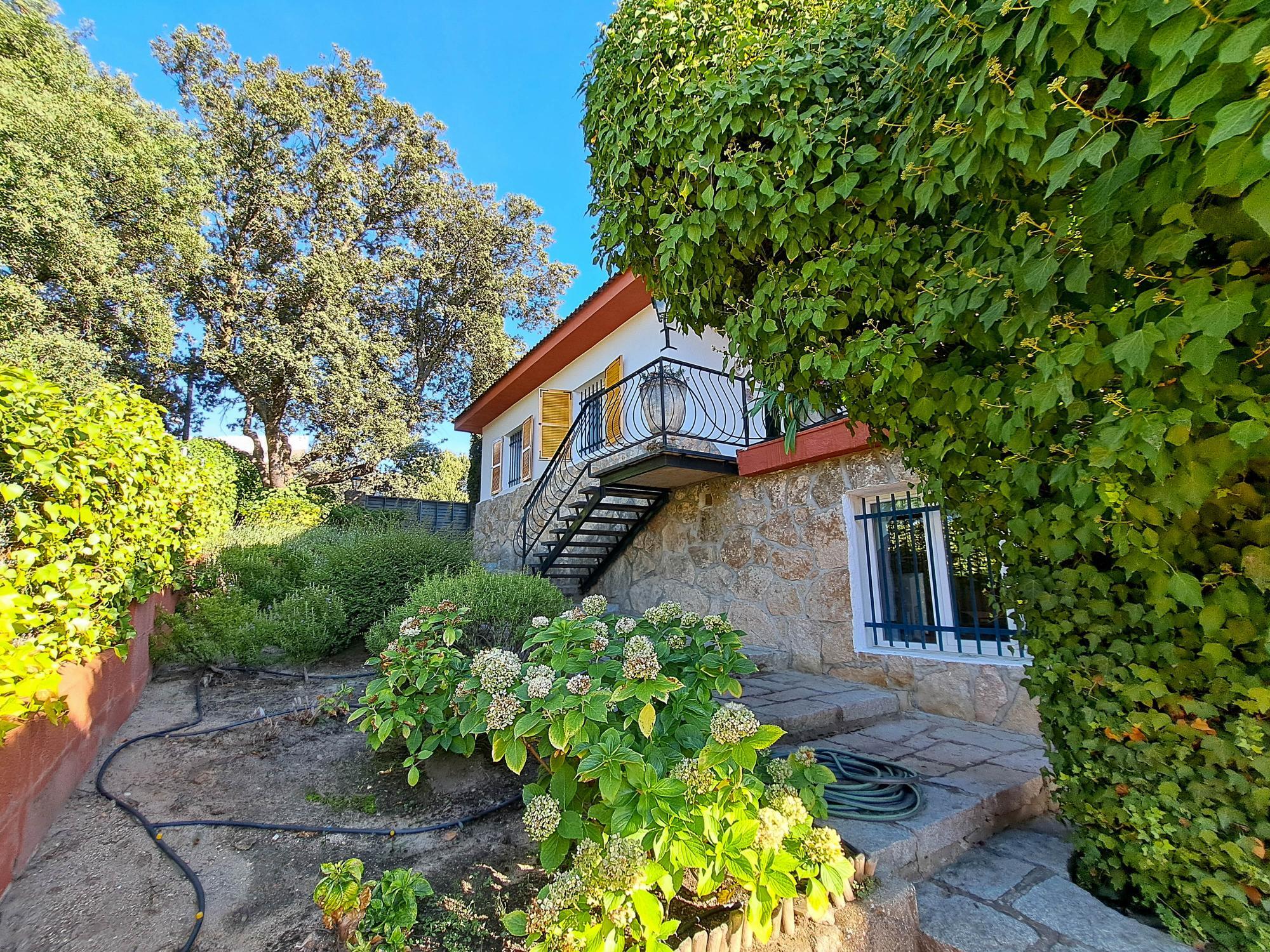 Casas o chalets-Venta-Torrelodones-2421410-Foto-36