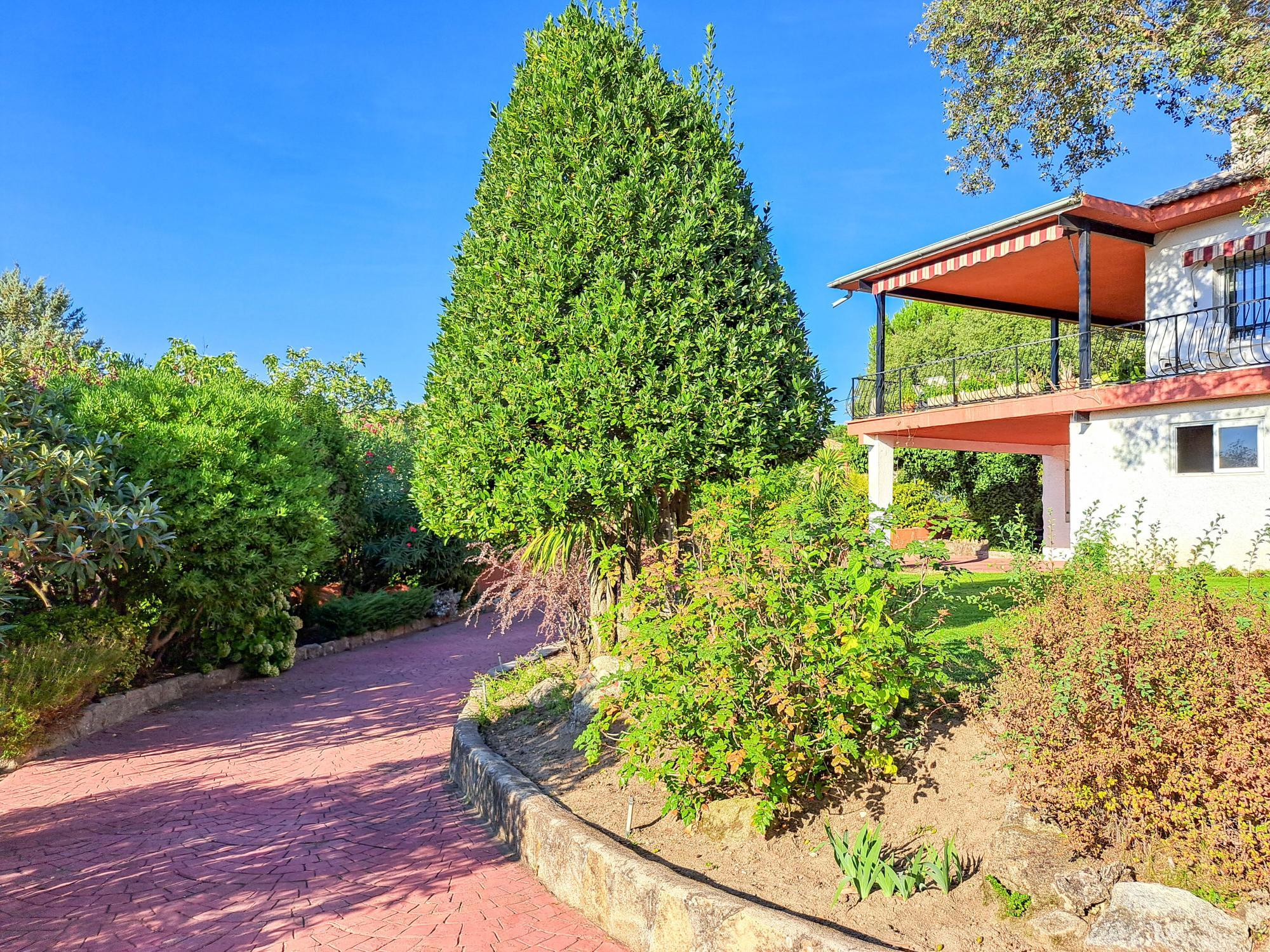 Casas o chalets-Venta-Torrelodones-2421410-Foto-41