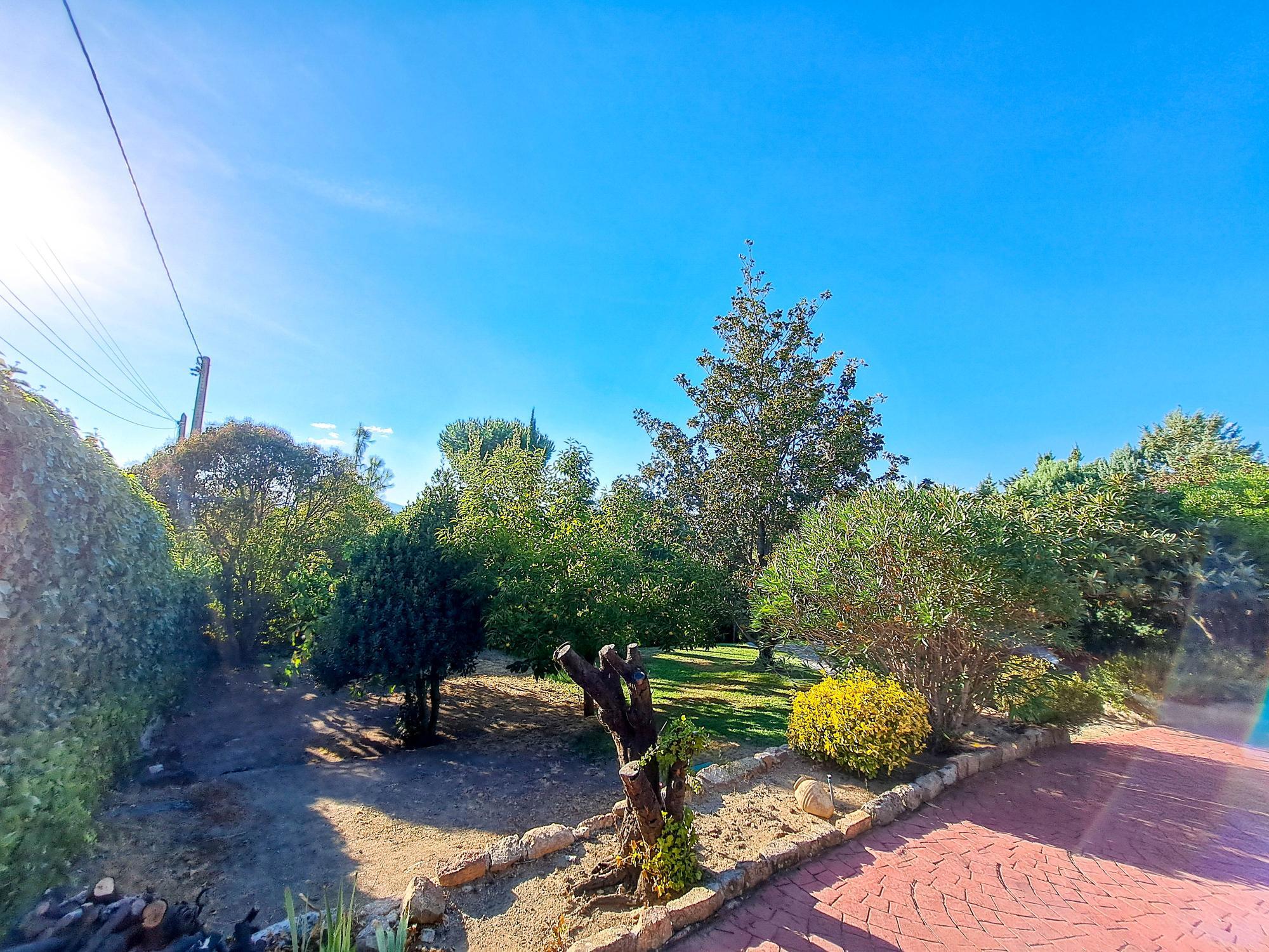 Casas o chalets-Venta-Torrelodones-2421410-Foto-42