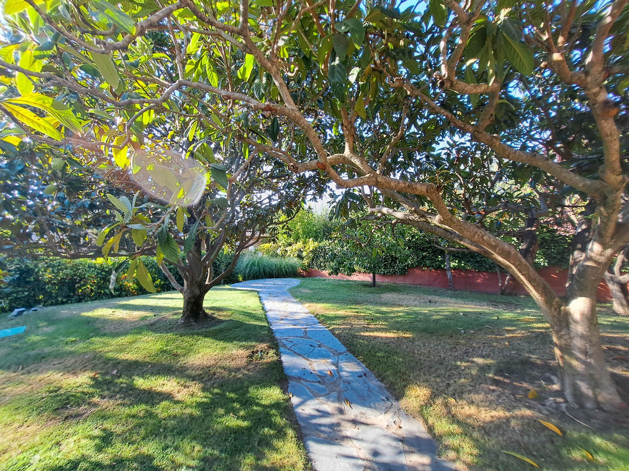 Casas o chalets-Venta-Torrelodones-2421410-Foto-45