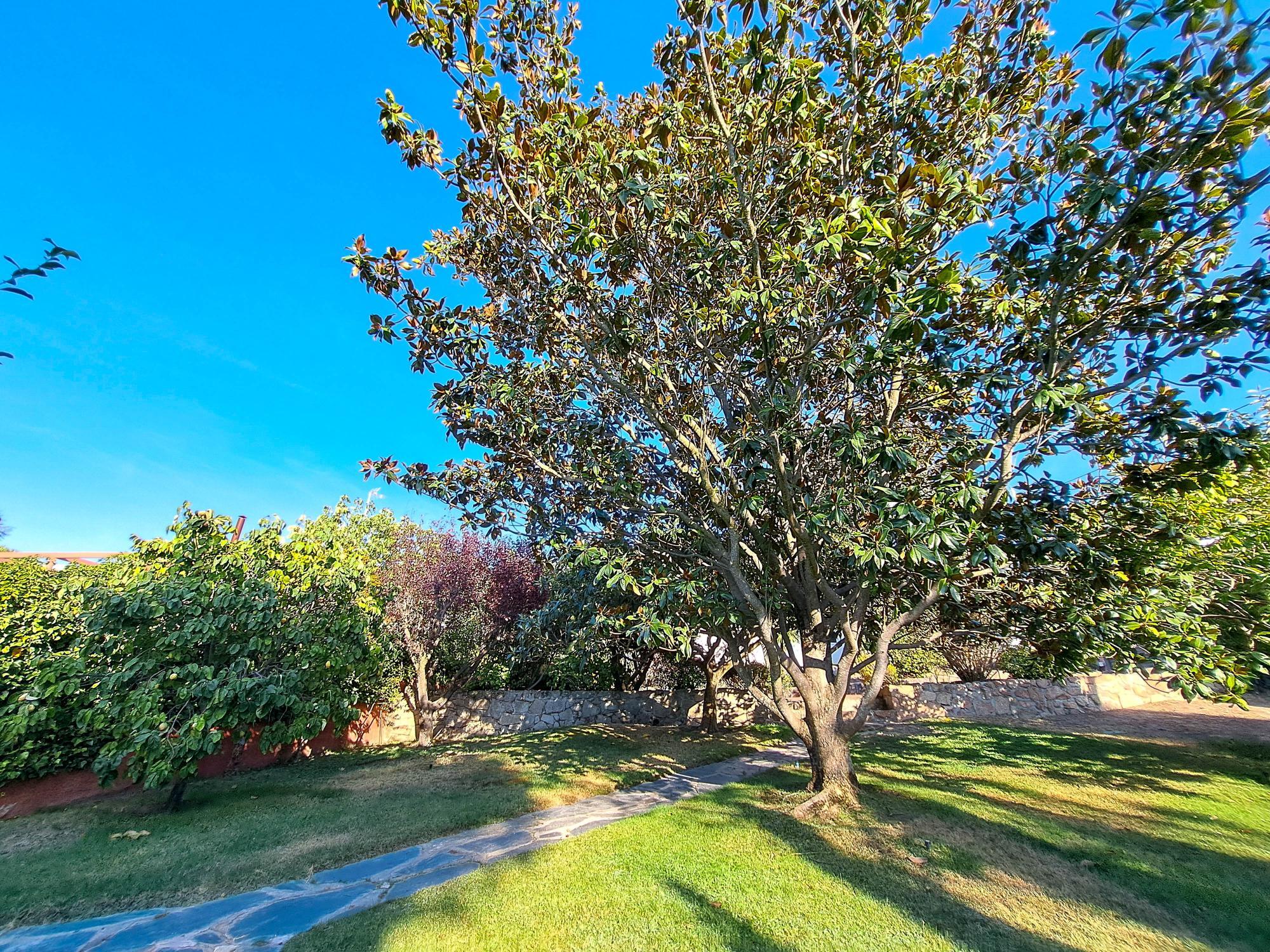 Casas o chalets-Venta-Torrelodones-2421410-Foto-44