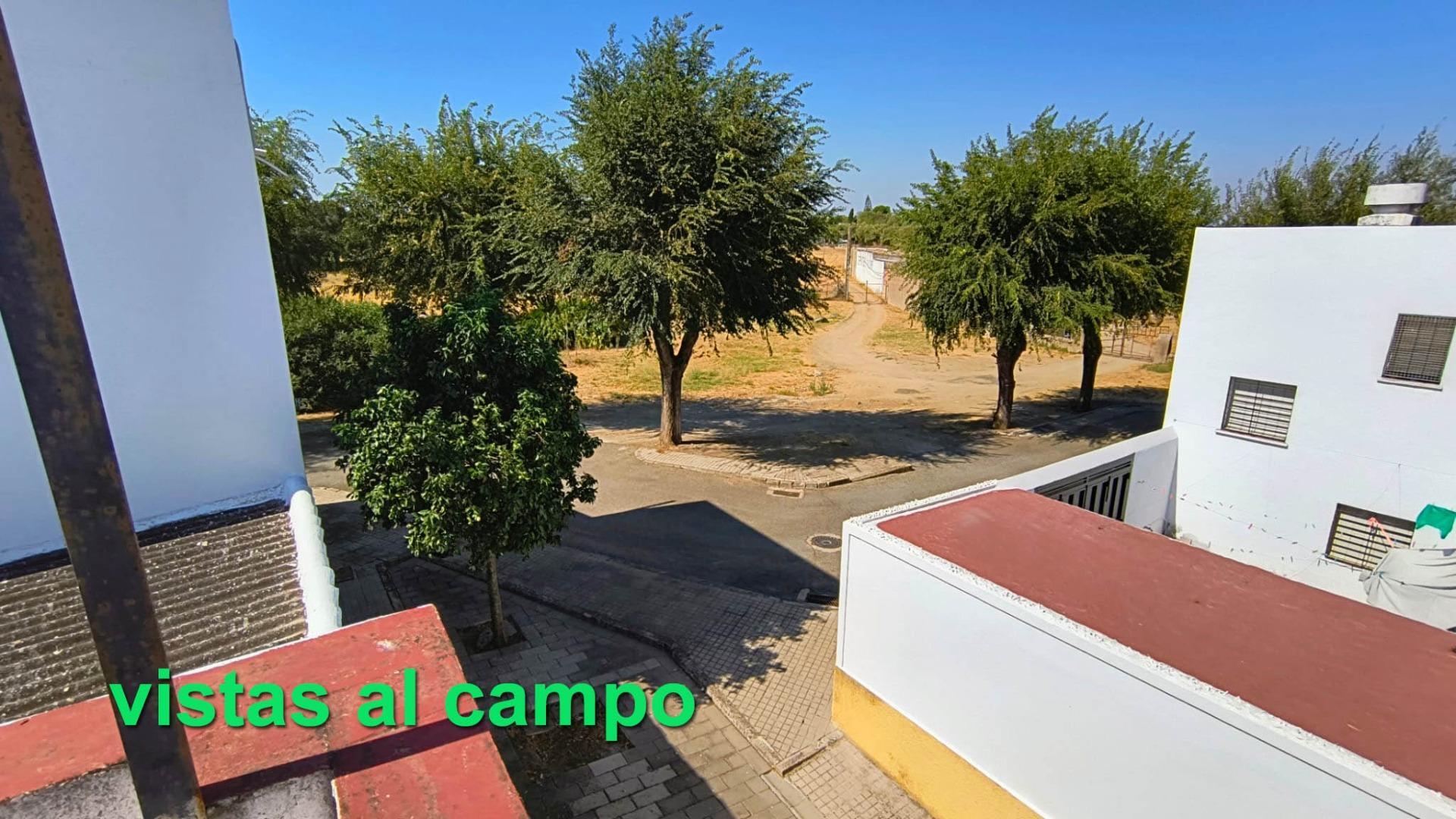 Casas o chalets-Venta-Castilblanco de los Arroyos-2421887-Foto-30