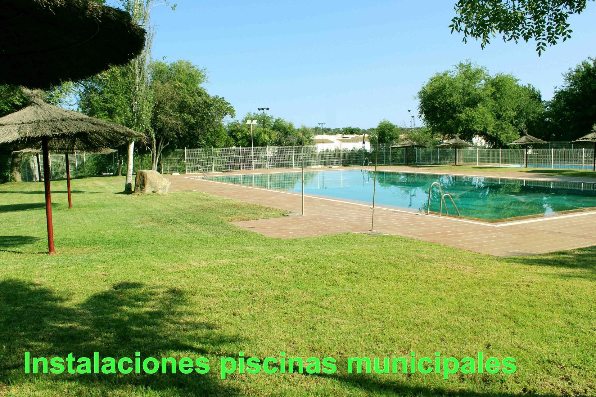 Casas o chalets-Venta-Castilblanco de los Arroyos-2421887-Foto-53