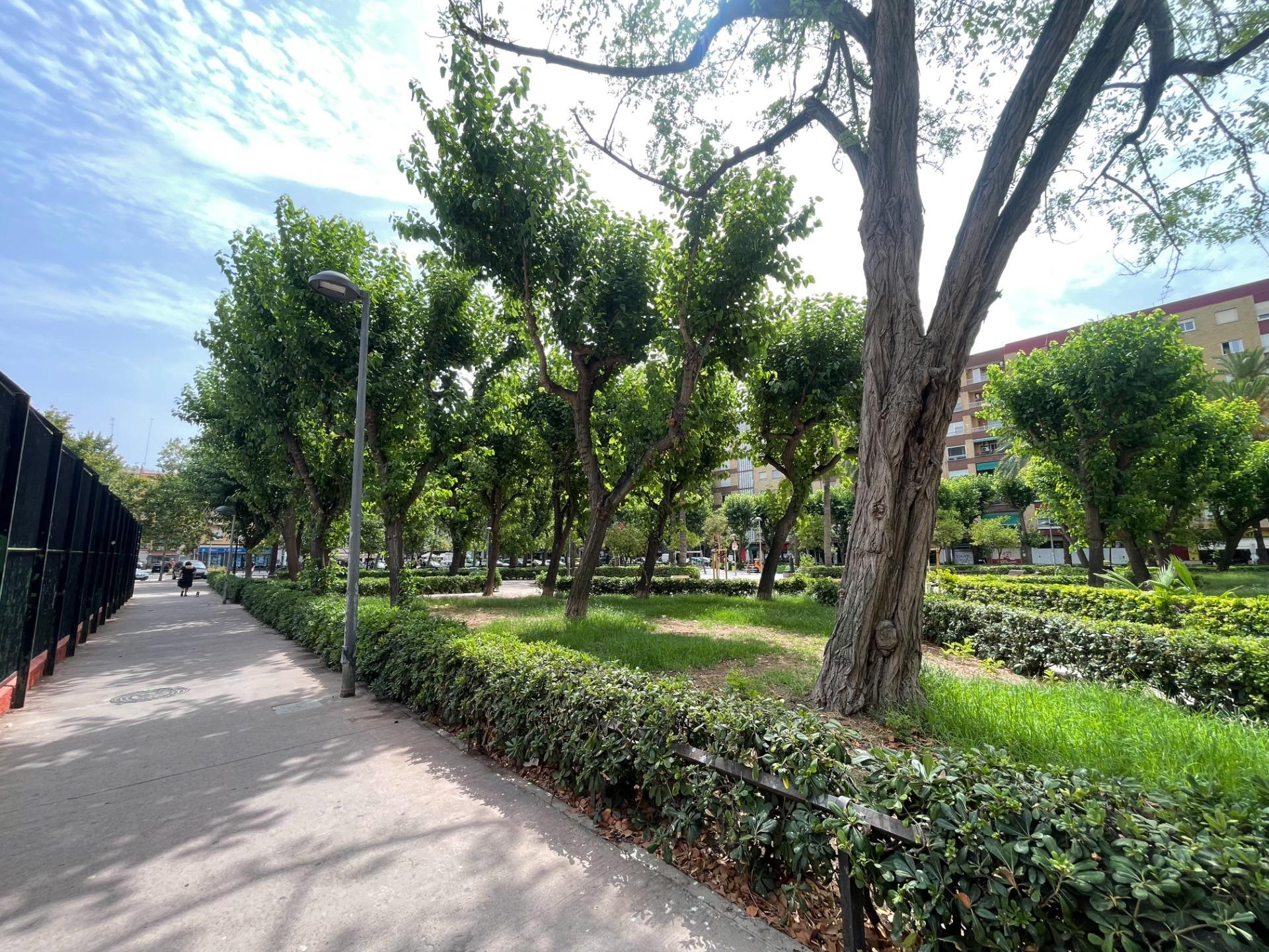 Pisos-Venta-Valencia-2410944-Foto-24