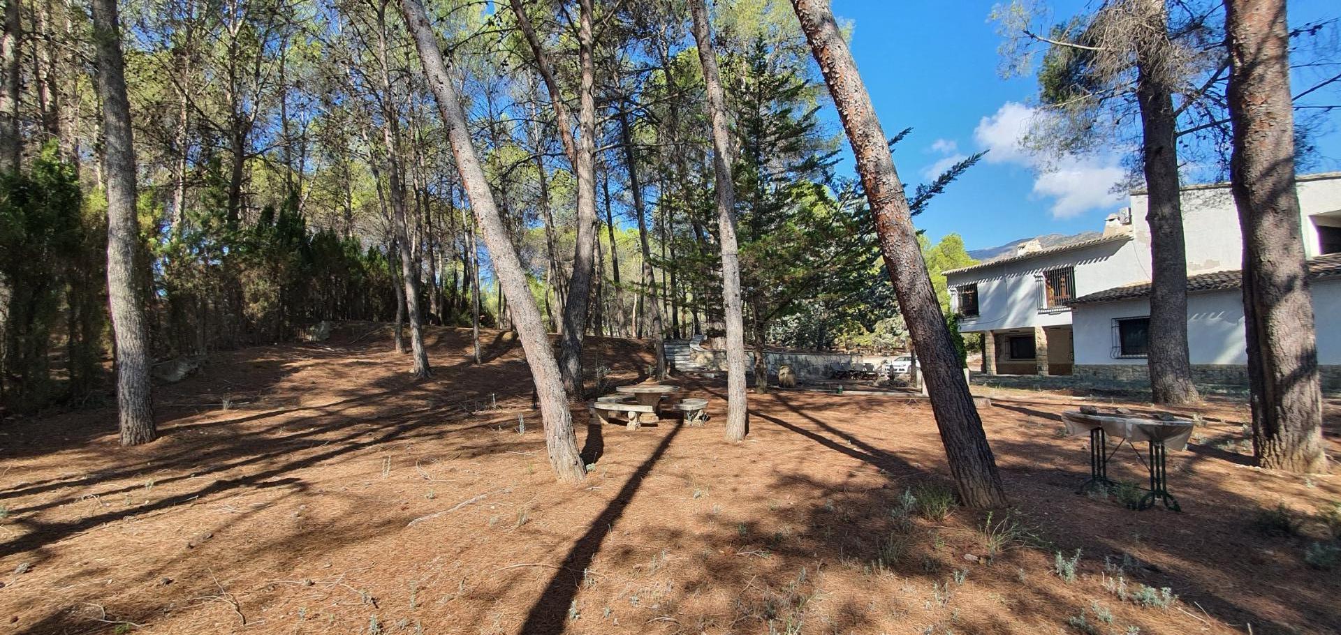 Casas o chalets-Venta-Cocentaina-1403410-Foto-10