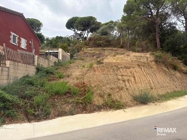 Fincas y solares-Venta-Calonge-2421881