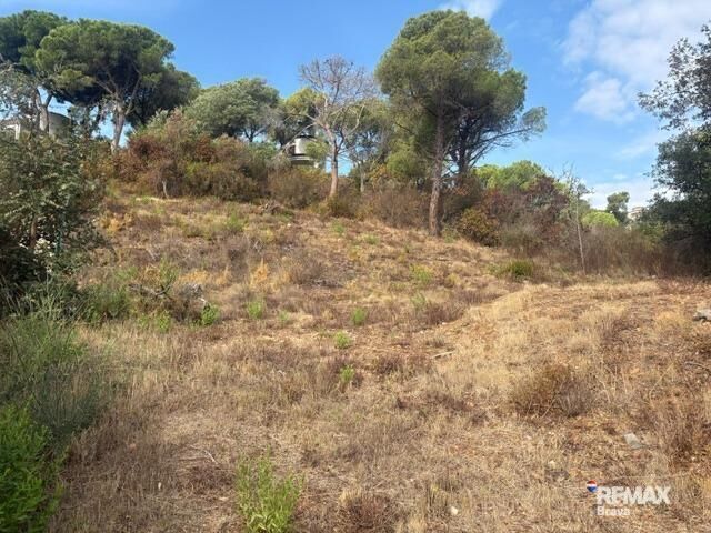 Fincas y solares-Venta-Calonge-2421881-Foto-5