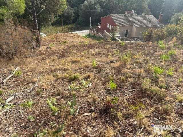 Fincas y solares-Venta-Calonge-2421881-Foto-2
