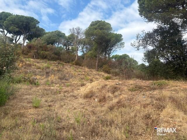 Fincas y solares-Venta-Calonge-2421881-Foto-4