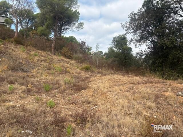 Fincas y solares-Venta-Calonge-2421881-Foto-6