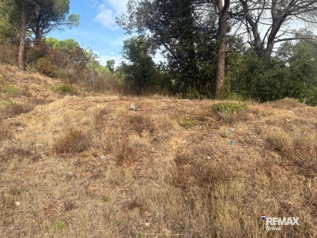 Fincas y solares-Venta-Calonge-2421881-Foto-9