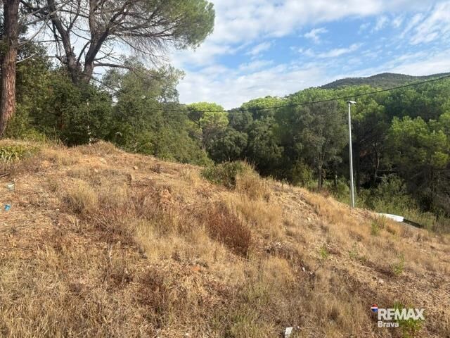 Fincas y solares-Venta-Calonge-2421881-Foto-10