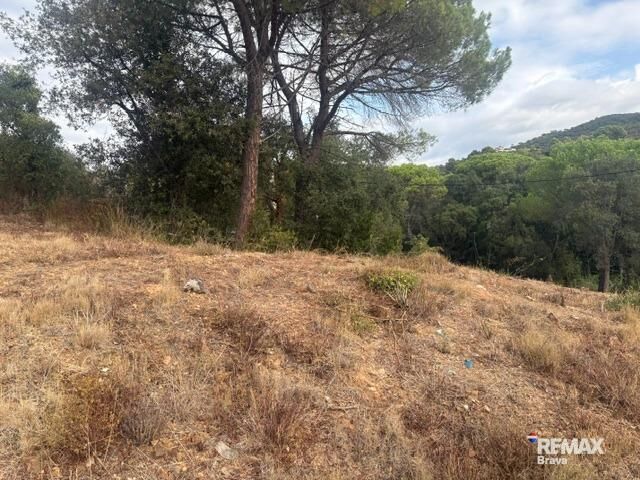 Fincas y solares-Venta-Calonge-2421881-Foto-7