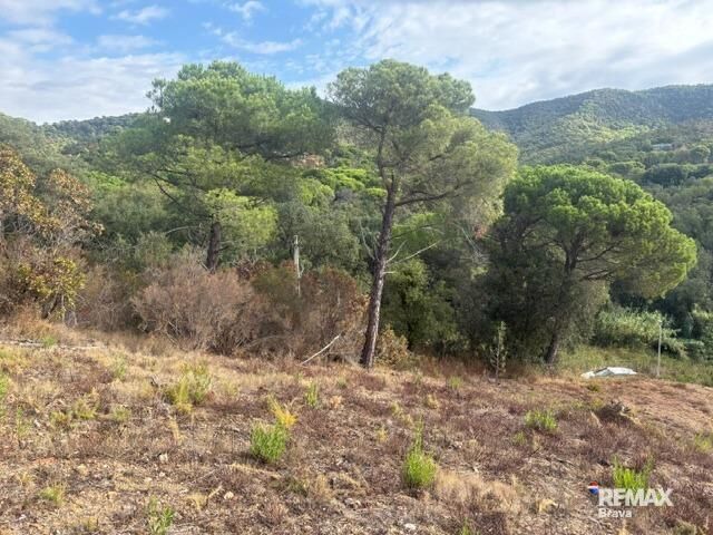 Fincas y solares-Venta-Calonge-2421881-Foto-12