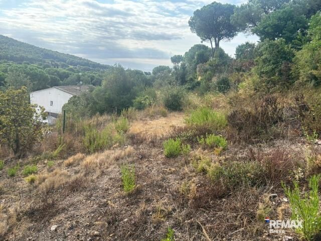 Fincas y solares-Venta-Calonge-2421881-Foto-13