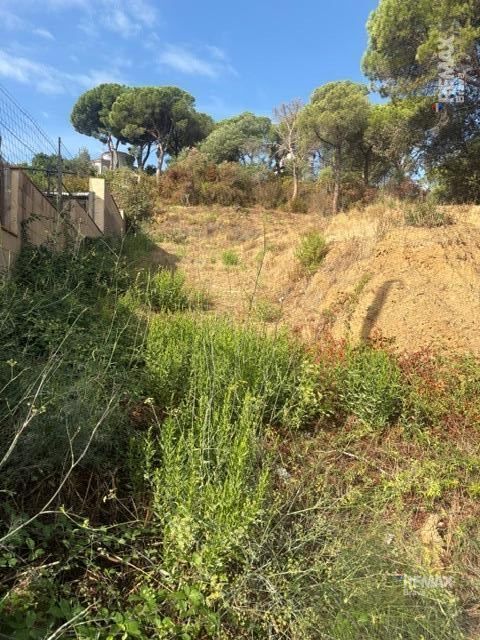 Fincas y solares-Venta-Calonge-2421881-Foto-14