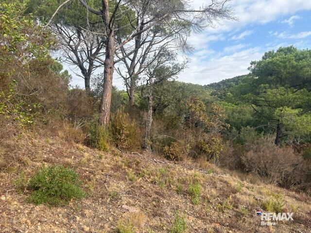 Fincas y solares-Venta-Calonge-2421881-Foto-11