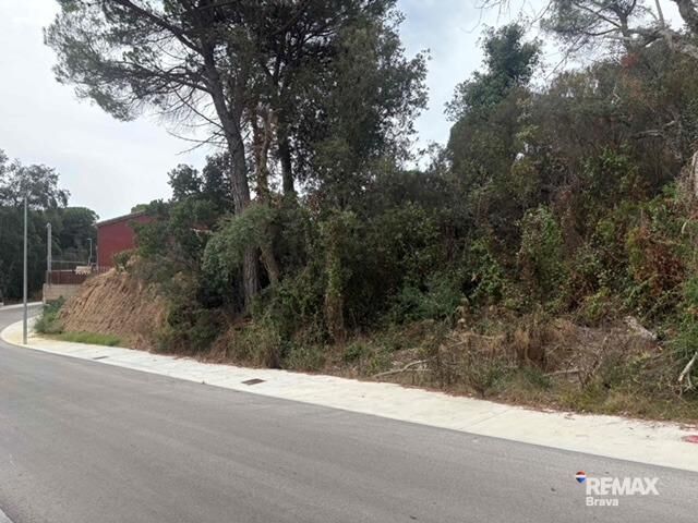 Fincas y solares-Venta-Calonge-2421881-Foto-20