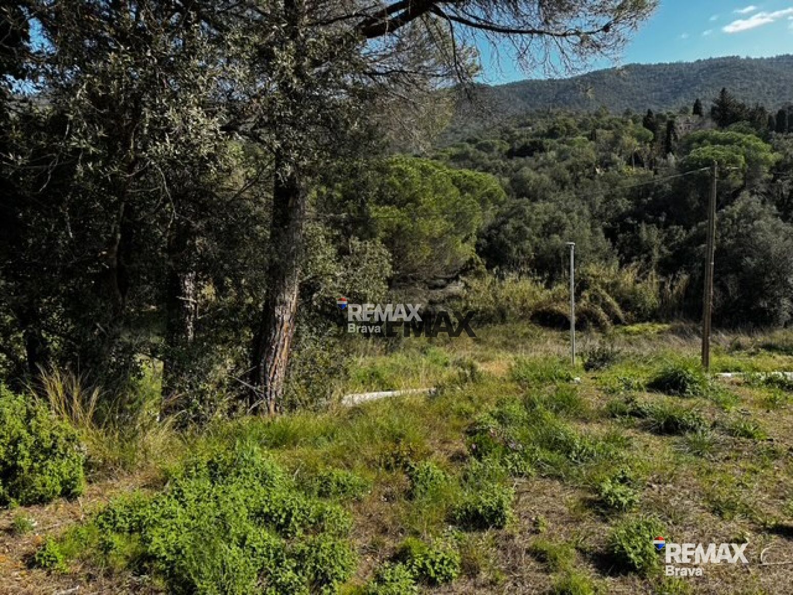 Fincas y solares-Venta-Calonge-2421881-Foto-17