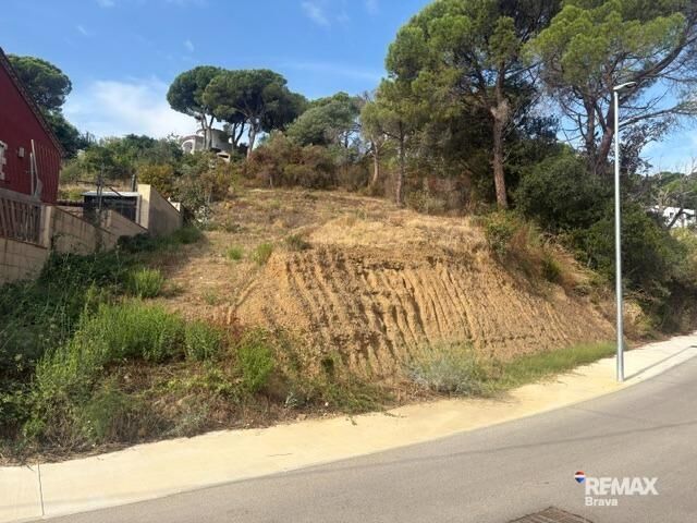 Fincas y solares-Venta-Calonge-2421881-Foto-23