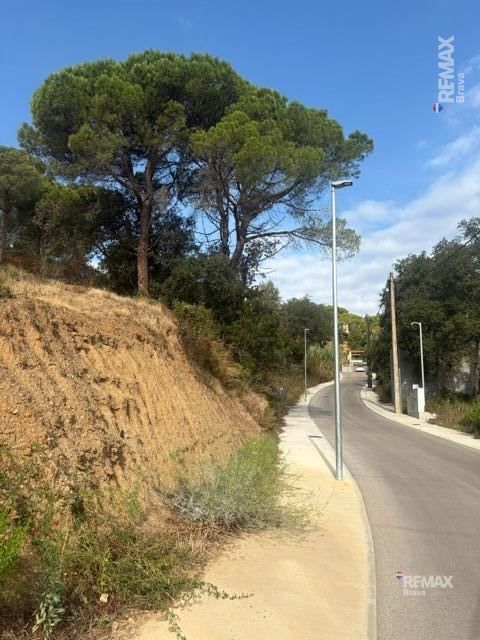 Fincas y solares-Venta-Calonge-2421881-Foto-21