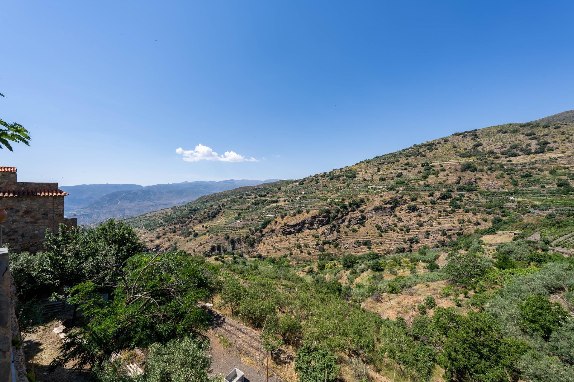Casas o chalets-Venta-Ohanes-2414600-Foto-37